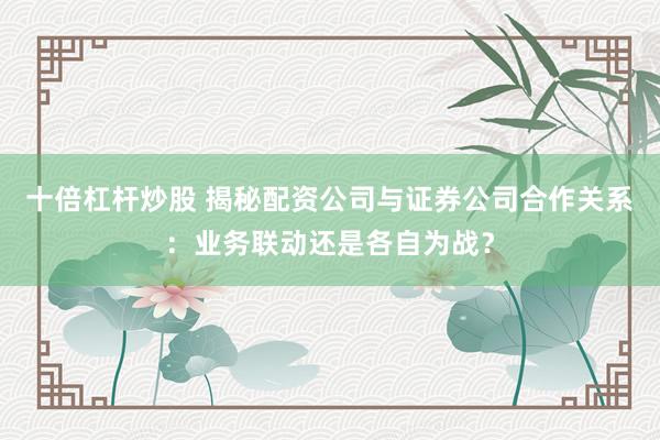十倍杠杆炒股 揭秘配资公司与证券公司合作关系：业务联动还是各自为战？