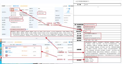 先河环保真假实控人迷局