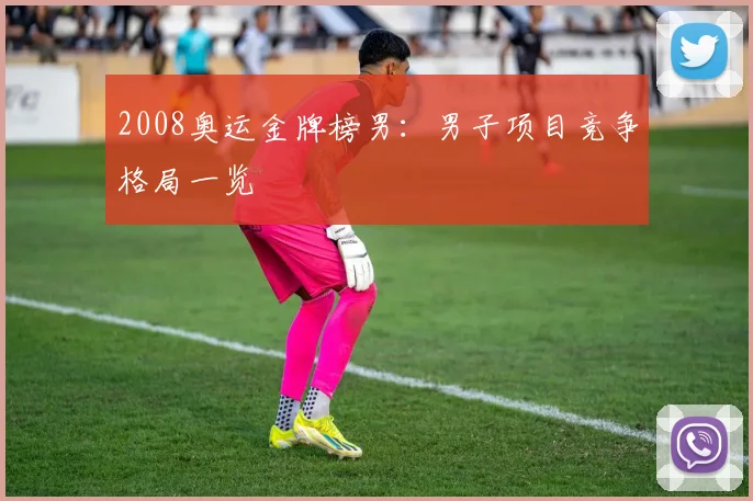 2008奥运金牌榜男：男子项目竞争格局一览