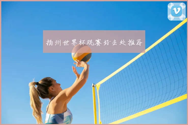 扬州世界杯观赛好去处推荐