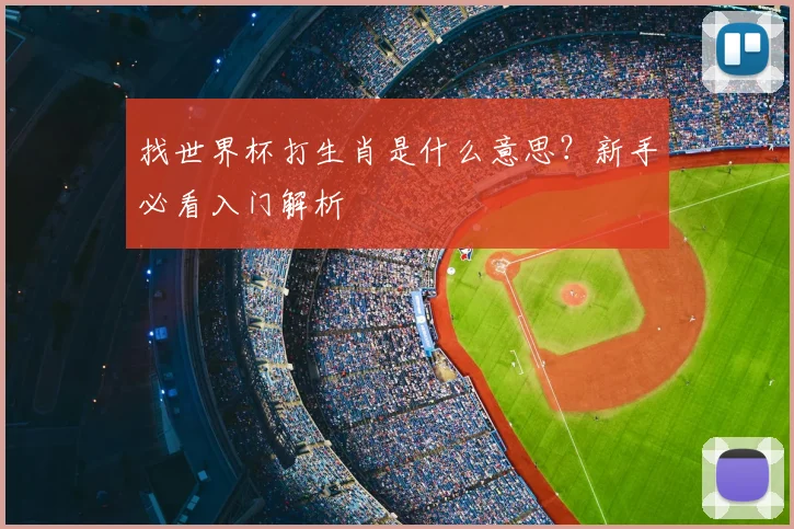 找世界杯打生肖是什么意思？新手必看入门解析