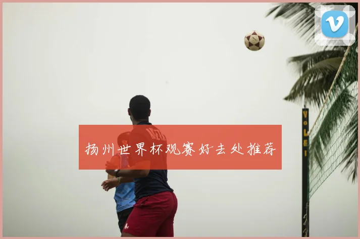 扬州世界杯观赛好去处推荐