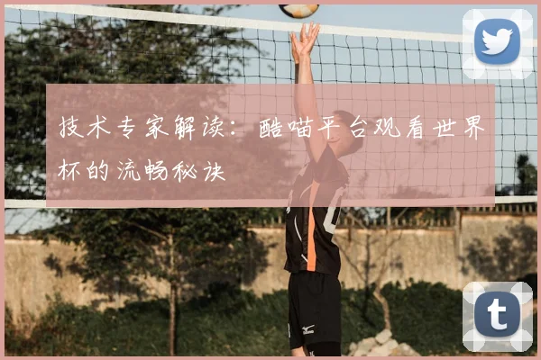 技术专家解读：酷喵平台观看世界杯的流畅秘诀